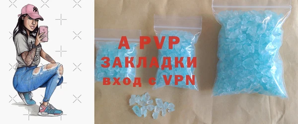 твердый Тайга