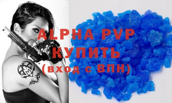 твердый Тайга